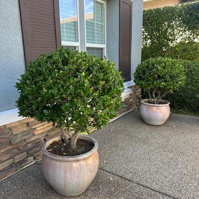 Sale Photo Thumbnail #97