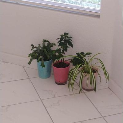 Sale Photo Thumbnail #82: Messenger creation 1e8fee9e b283 45e3 b324 7d30b3867ac4