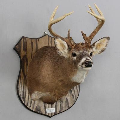 Sale Photo Thumbnail #77