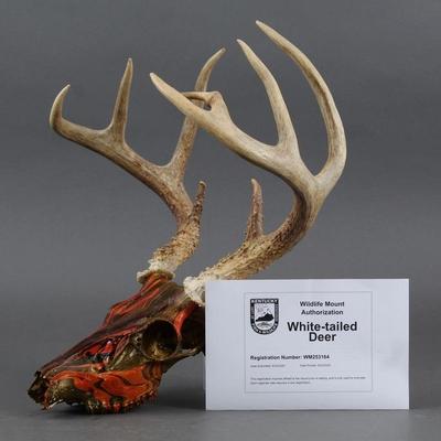 Sale Photo Thumbnail #73