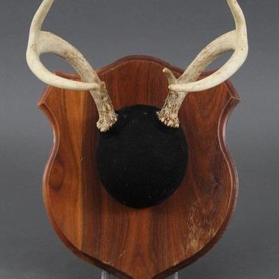 Sale Photo Thumbnail #72