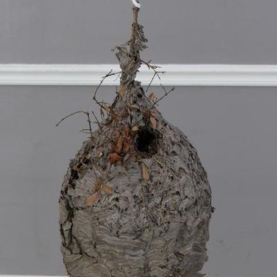 Sale Photo Thumbnail #83