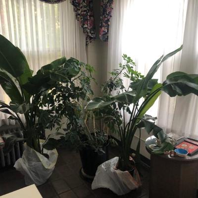 Sale Photo Thumbnail #30