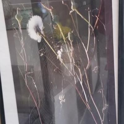 Sale Photo Thumbnail #17