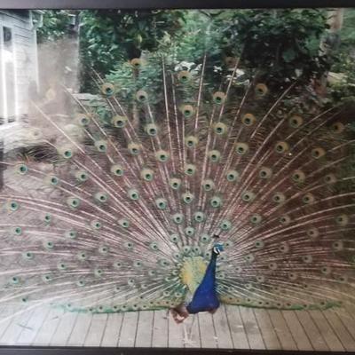 Sale Photo Thumbnail #5