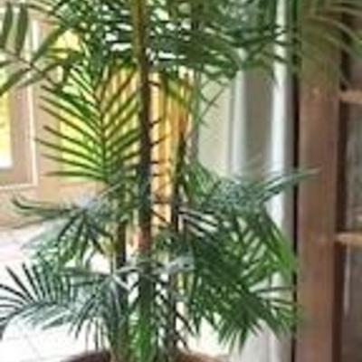 Sale Photo Thumbnail #79