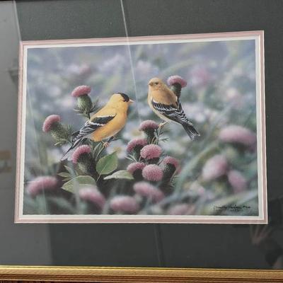 Goldfinches by Bradley Jackson 
