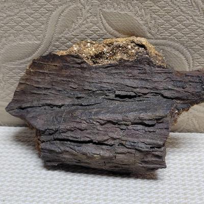 Petrified Wood Specimen 6.5 X 4.5