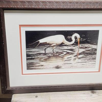 Great White Heron Framed Nature Photograph 
