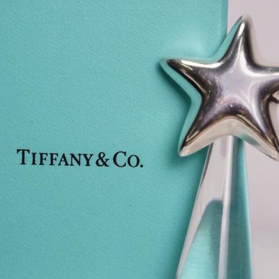 Authenticated Tiffany & Co Sterling Silver Starfish Brooch - 1.5" W