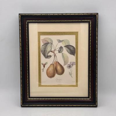 Epargne - Framed Fruit Print 