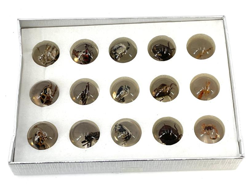 Sale Photo Thumbnail #373