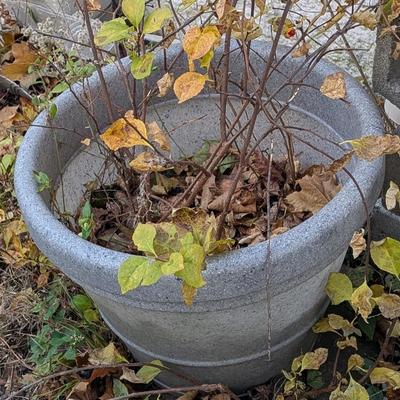 Sale Photo Thumbnail #106