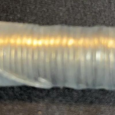 Uncirculated Roll 2005 Buffalo Nickels- Philadelphia