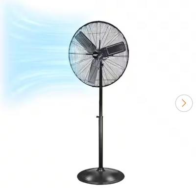 Sale Photo Thumbnail #798