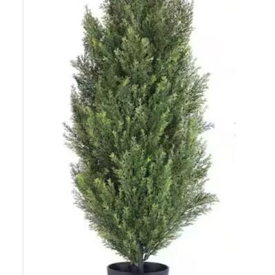 Sale Photo Thumbnail #595