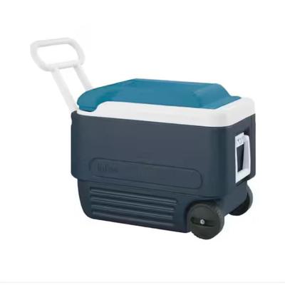 Sale Photo Thumbnail #230