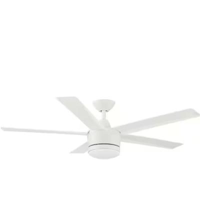 Sale Photo Thumbnail #705