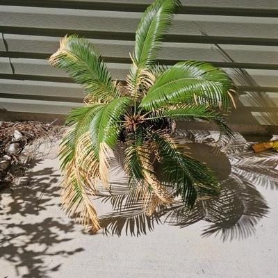 Sale Photo Thumbnail #65