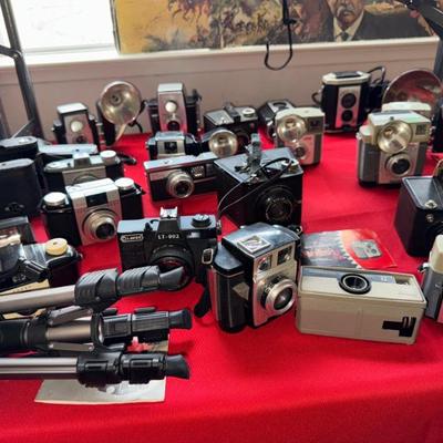 Sale Photo Thumbnail #113