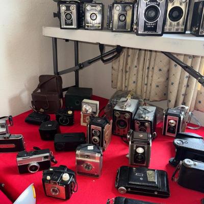 Sale Photo Thumbnail #114