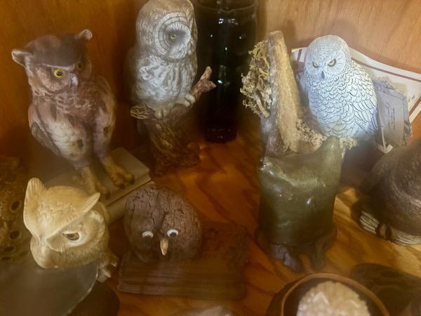 Sale Photo Thumbnail #11