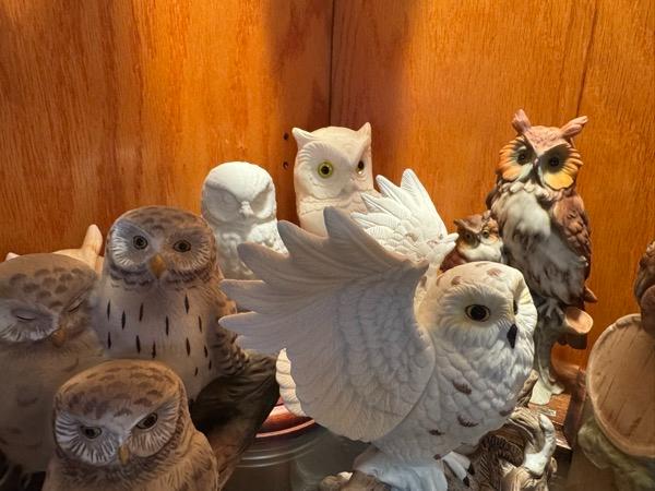 Sale Photo Thumbnail #10