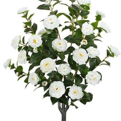 Sale Photo Thumbnail #928