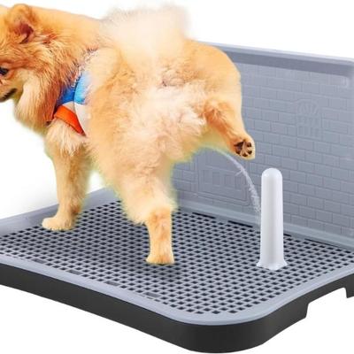 Sale Photo Thumbnail #971