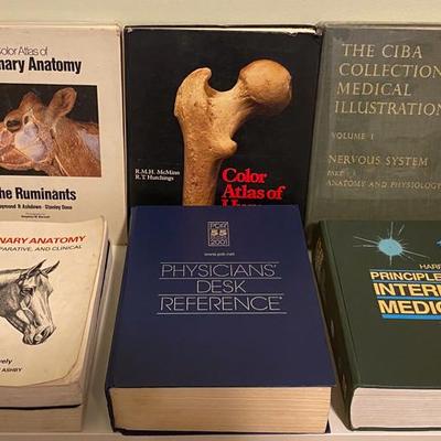 Sale Photo Thumbnail #234