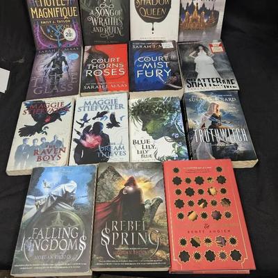 Group Of Modern Fantasy Novels...Sarah Maas, Morgan Rhodes