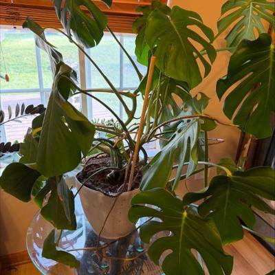 Sale Photo Thumbnail #33