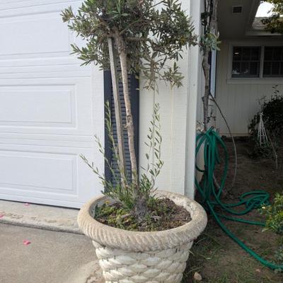 Sale Photo Thumbnail #61