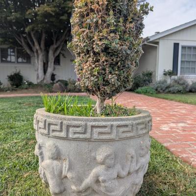 Sale Photo Thumbnail #60: PAIR of French style cement planters