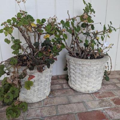 Sale Photo Thumbnail #59