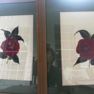 Sale Photo Thumbnail #114