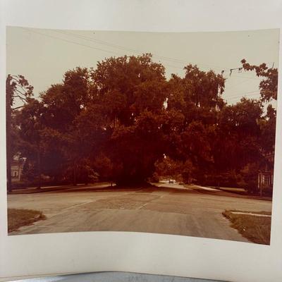 Sale Photo Thumbnail #109