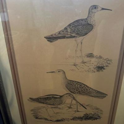 Sale Photo Thumbnail #227