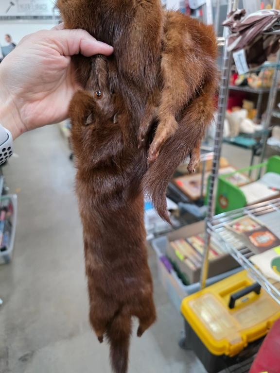 Sale Photo Thumbnail #343