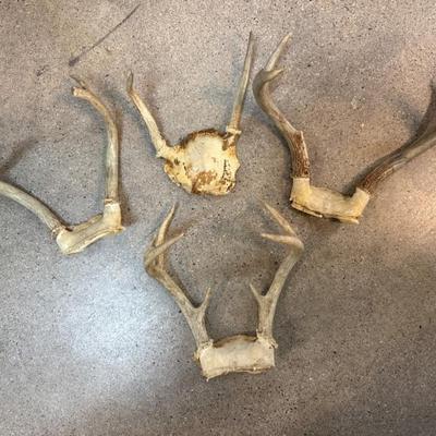 Sale Photo Thumbnail #174