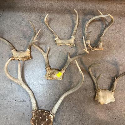 Sale Photo Thumbnail #175