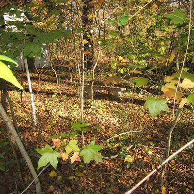 Sale Photo Thumbnail #99