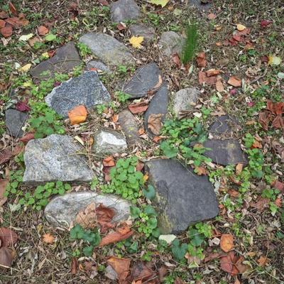 Sale Photo Thumbnail #370