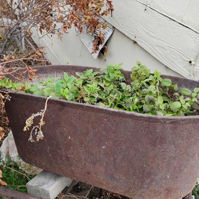 Sale Photo Thumbnail #12