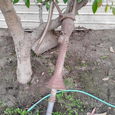 Sale Photo Thumbnail #164