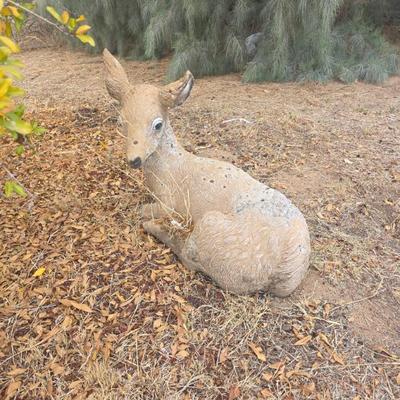 Sale Photo Thumbnail #141