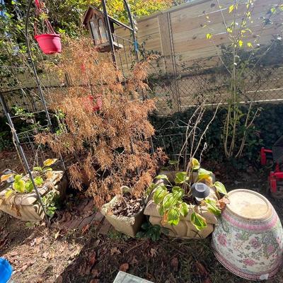 Sale Photo Thumbnail #941