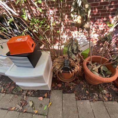 Sale Photo Thumbnail #932