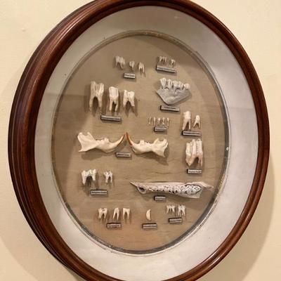 Sale Photo Thumbnail #541