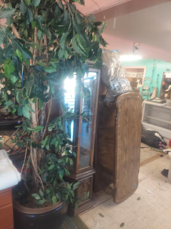 Sale Photo Thumbnail #109